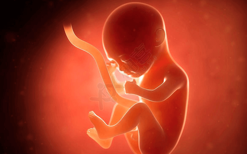 盆腔粘连怀孕了对胎儿没有影响