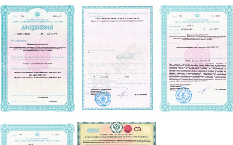 俄罗斯GMS生殖中心的执照证书