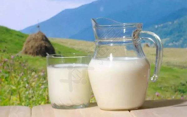 骆驼奶粉营养价值大测评，十八种成分都有功效与作用