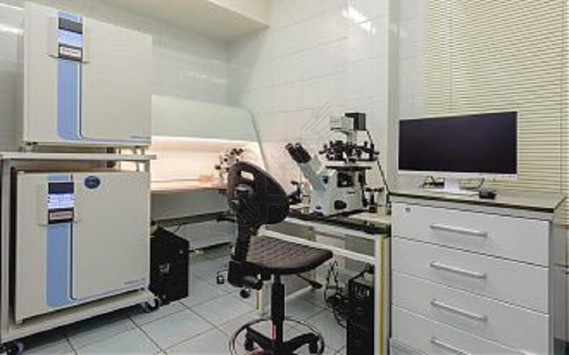 Aymed医院的胚胎实验室