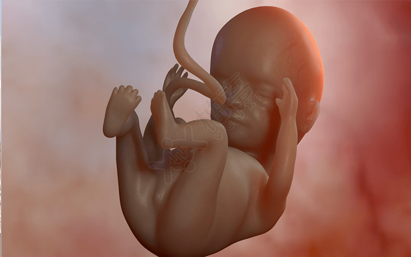 孕妇肚子大小与胎儿性别没有关系