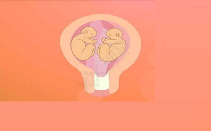 试管婴儿生双胞胎的概率会大一些