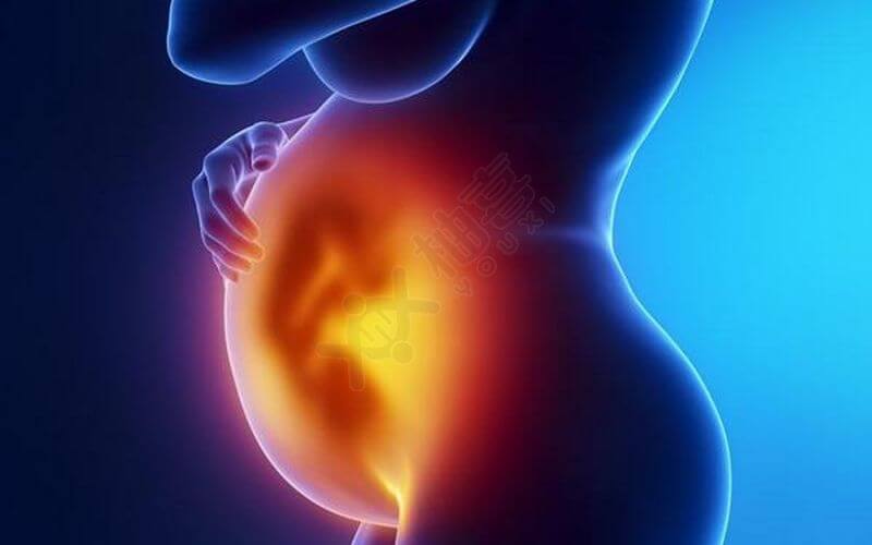 胚胎发育异常会出现胎停育
