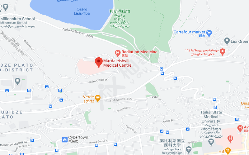 Mardaleishvili医学中心地图