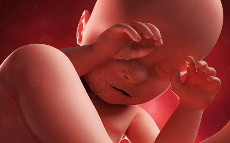 孕32周胎儿已经发育成熟