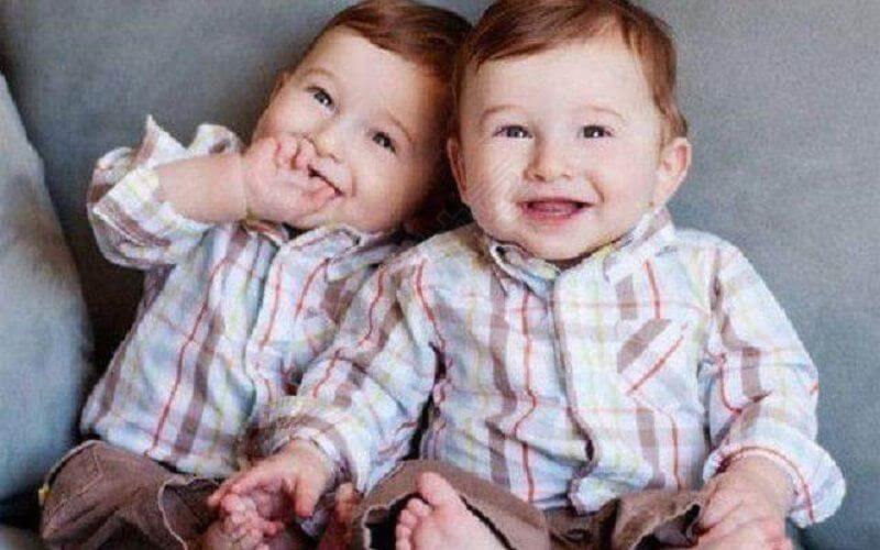 怀双胞胎主要是由遗传导致