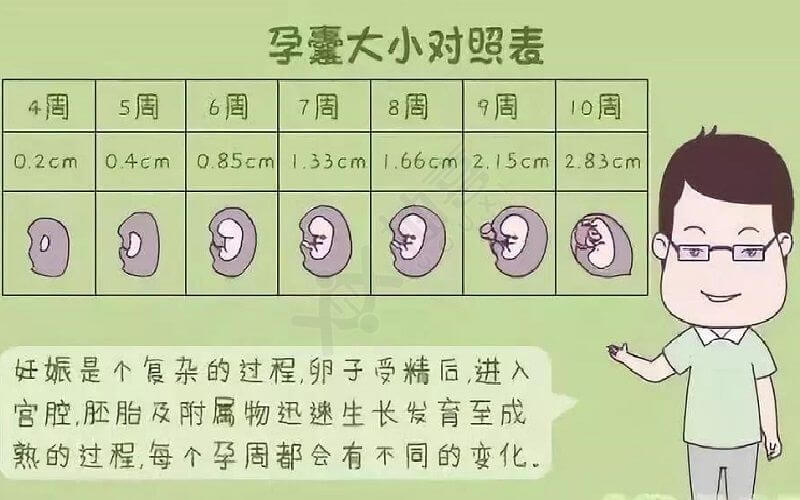 胎龄与孕周对照表图片