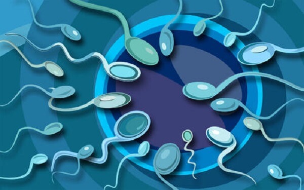 正常精子率仅3%的危害可不小,治疗or试管都需早进行!
