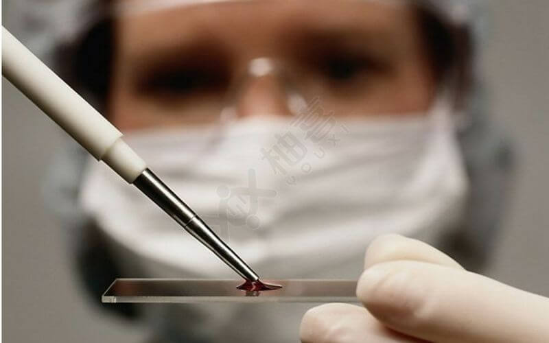 DNA验血可检测胎儿性别