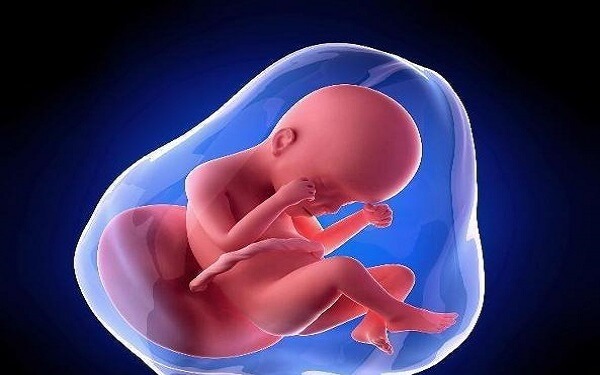 宝宝一天没有胎动需警惕，低于正常次数有危险