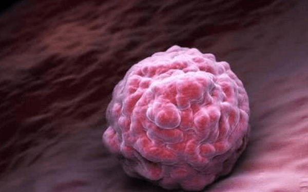 揭秘8细胞养囊成功率有多高，胚胎等级是关键