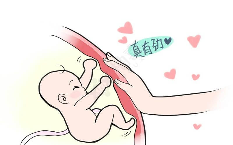 正确计算胎动能够了解宝宝的情况