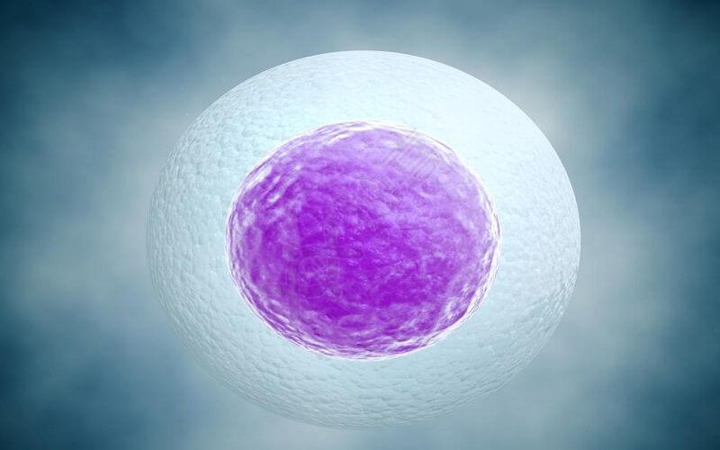 卵泡不成熟也能怀孕