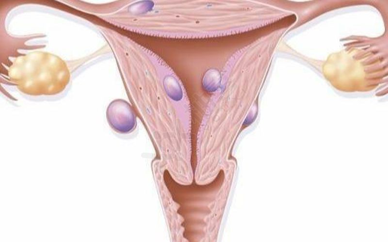 女性没有卵泡多是卵巢功能衰退导致的