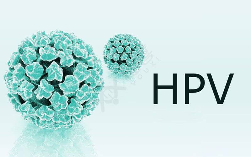 HPV疫苗预防宫颈癌