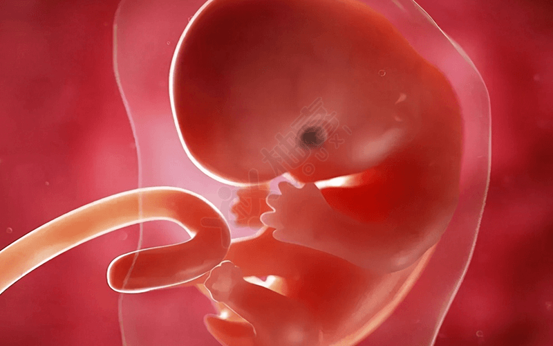 小三阳患者怀孕后可能导致胎儿畸形