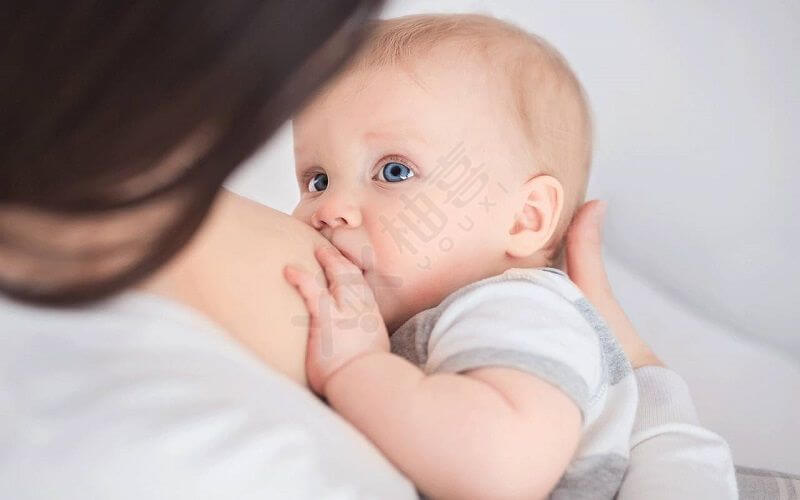宝宝喂奶的正确姿势