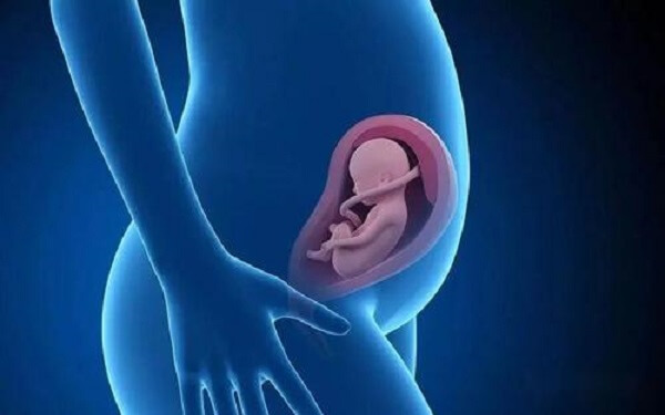 浅谈胎儿畸形与精子的关系，讲述宝宝致畸原因