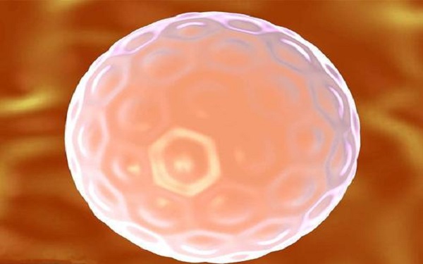 细说囊胚移植后多久着床，看懂4大征兆即可预知结果