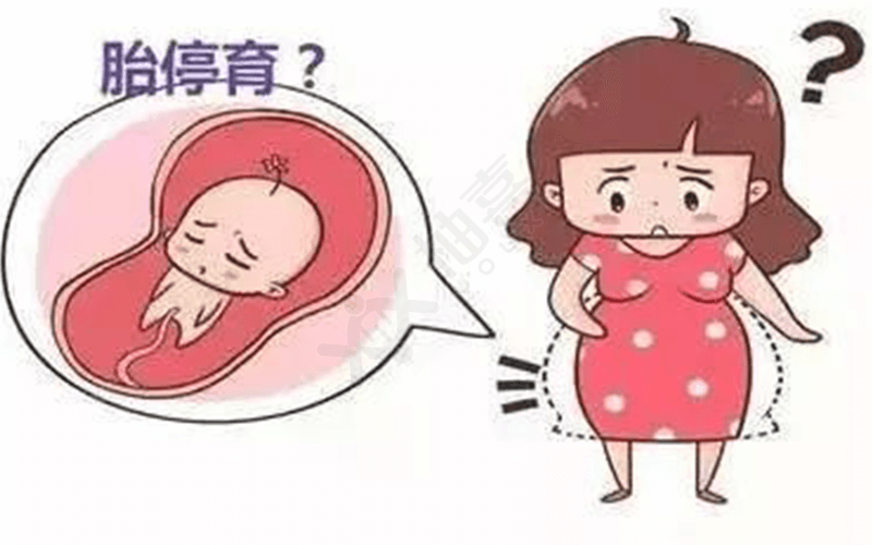 染色体易位患者怀孕后容易胎停育