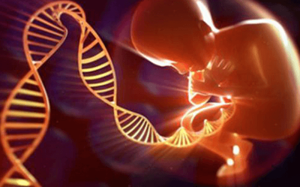 染色体异常自然怀孕不容易，三代试管拯救你