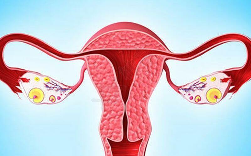 卵巢小可能是相关手术导致的