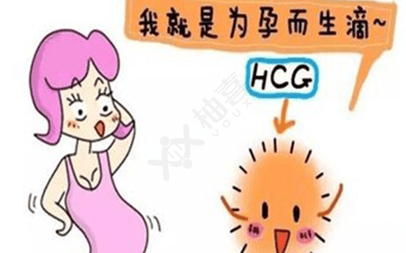 hcg是孕期女性特有的激素