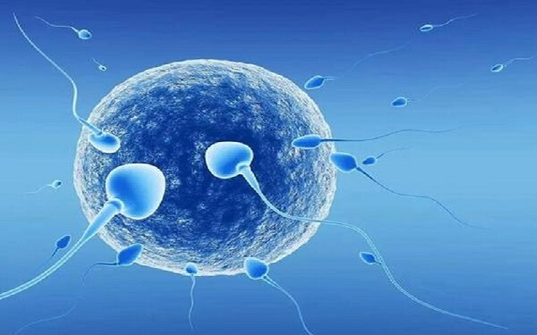 精子活力低≠不能怀孕生育，具体要看这3点