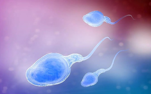 详解精子活力是什么，这3大影响因素男性要知道