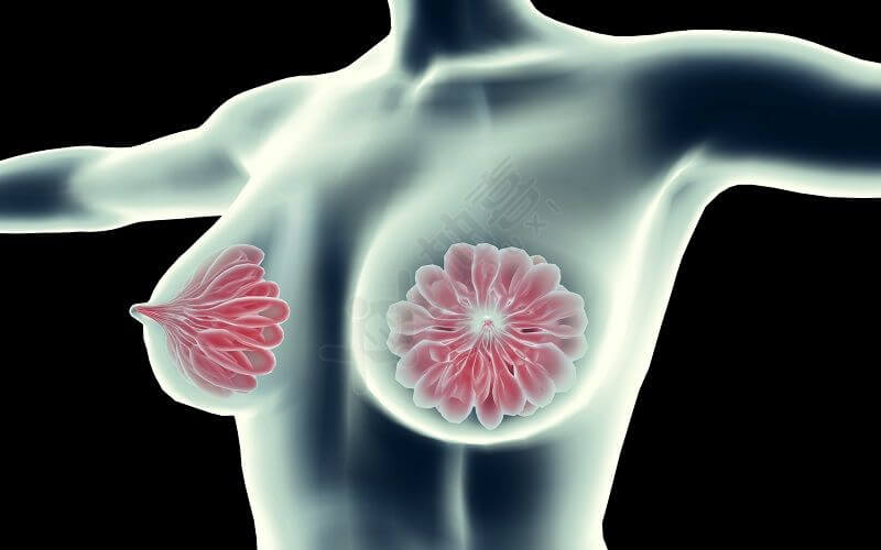 乳腺病变可通过检查早日发现