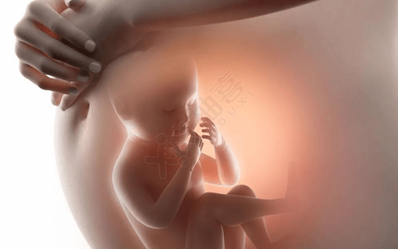 胎位不正是一种极容易出现的现象
