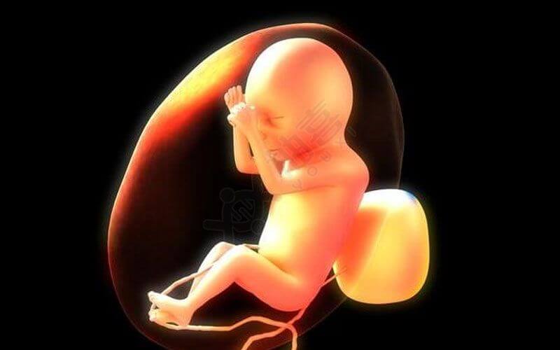 胎儿性别测试杯预测时间早
