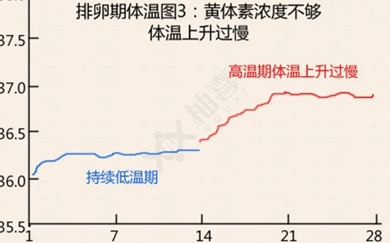 排卵期温度上升缓慢