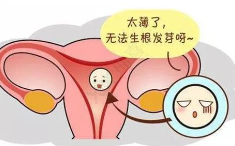 马来西亚做试管的条件是子宫内膜环境达标