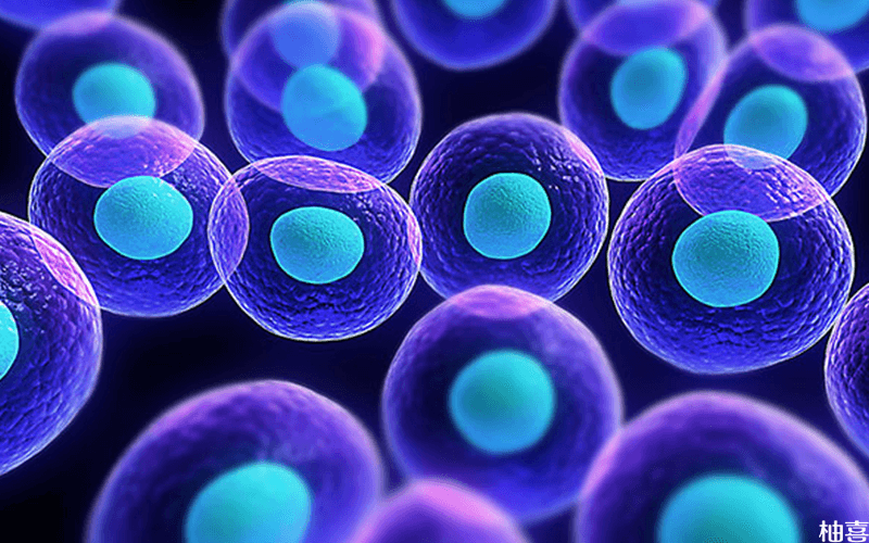 胎盘多肽注射液的作用是增强细胞免疫功能
