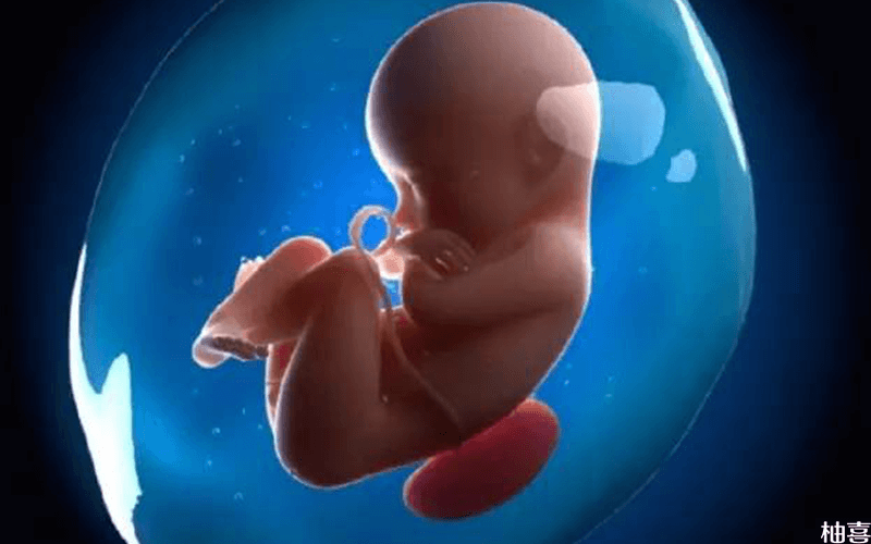 海贝贝胎心仪一般对胎儿没有影响