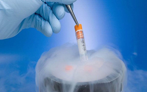自然周期冻胚移植时间、步骤、成功率全解析，一文说清