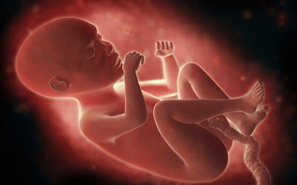 胎儿横位都是生女孩并不可靠，生男孩几率仍然高！