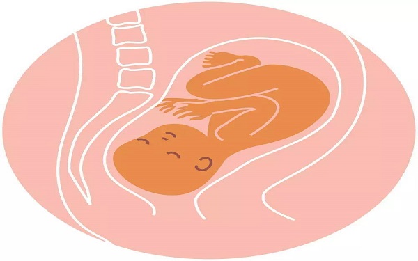 孕晚期胎儿横位的2大不良影响，这些危害你要知道！