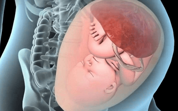 胎儿横位坚持到39周，这个时候真的比较危险了！