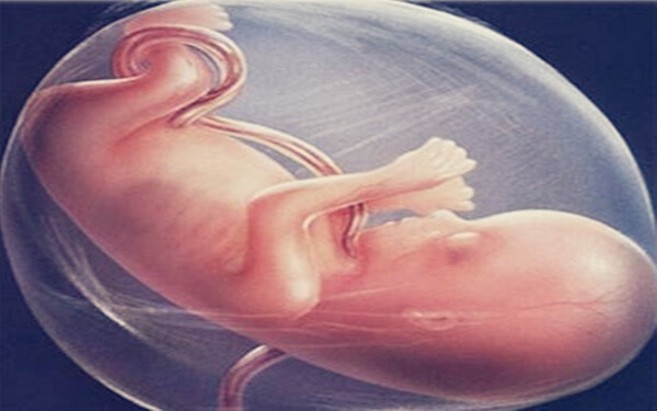 胎儿横位胎心的位置揭秘，原来是在这里！