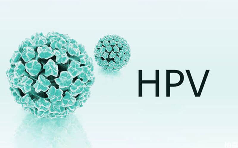 hpv疫苗能有效预防宫颈癌病毒