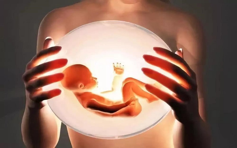 影响胚胎着床的因素
