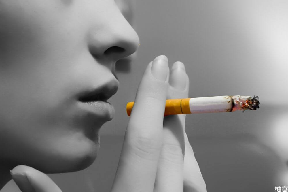 吸烟会导致胚胎质量下降