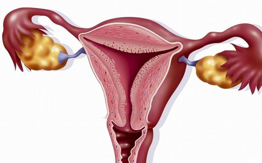 宫外孕指的是胎儿没有在宫腔中发育