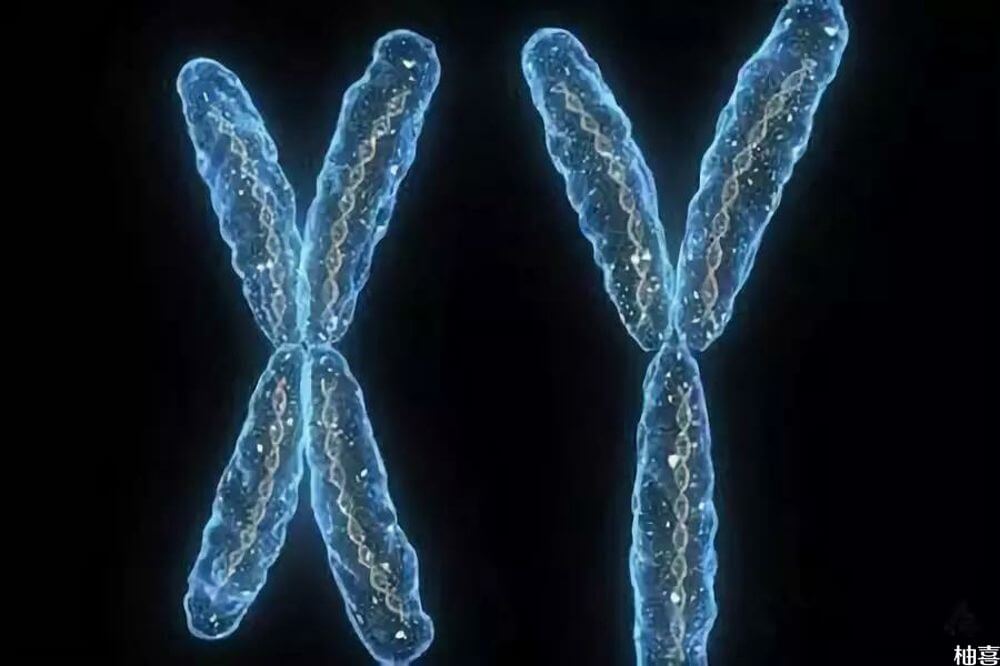 Y型精子比较喜欢碱性环境