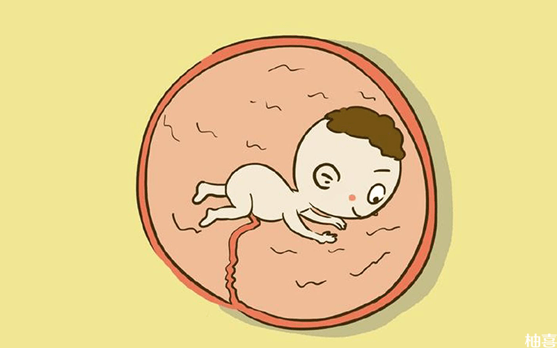 胎儿在母体内的位置