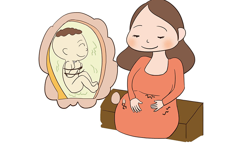 胎儿在妈妈肚子里