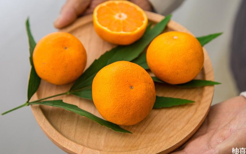 孕妇吃橘子能提高机体免疫力