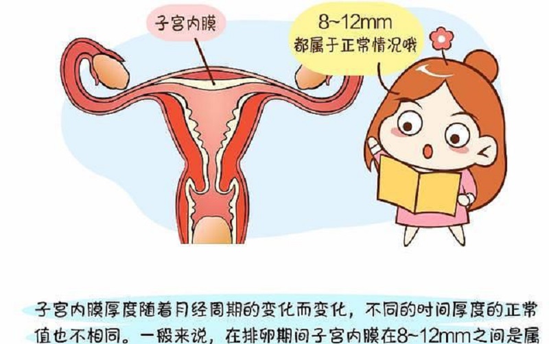 子宫内膜受损提示图